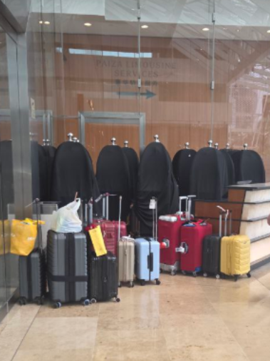 Central luggage handling point